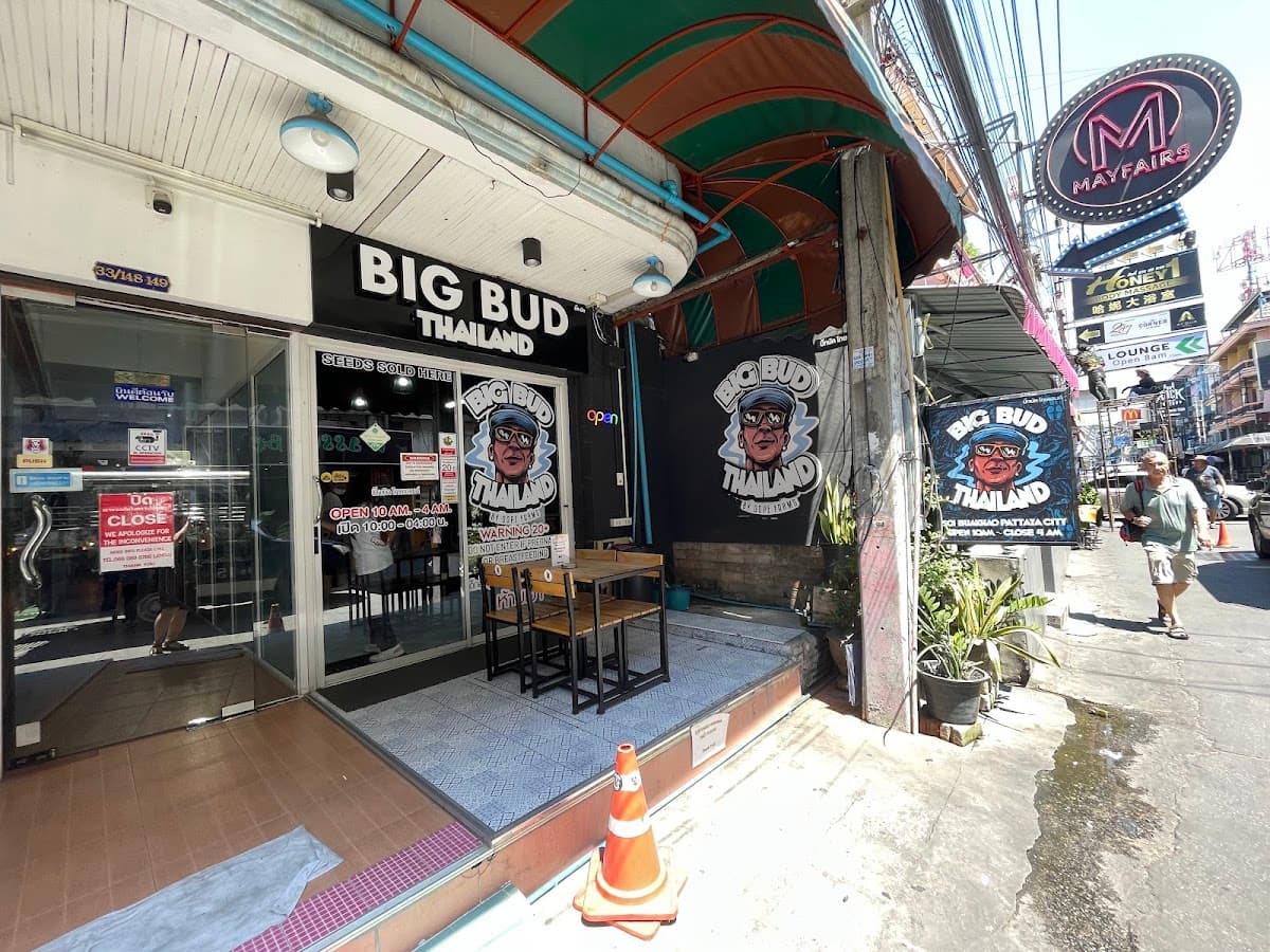 Big Bud Thailand Pattaya - Cannabis & Weed Shop