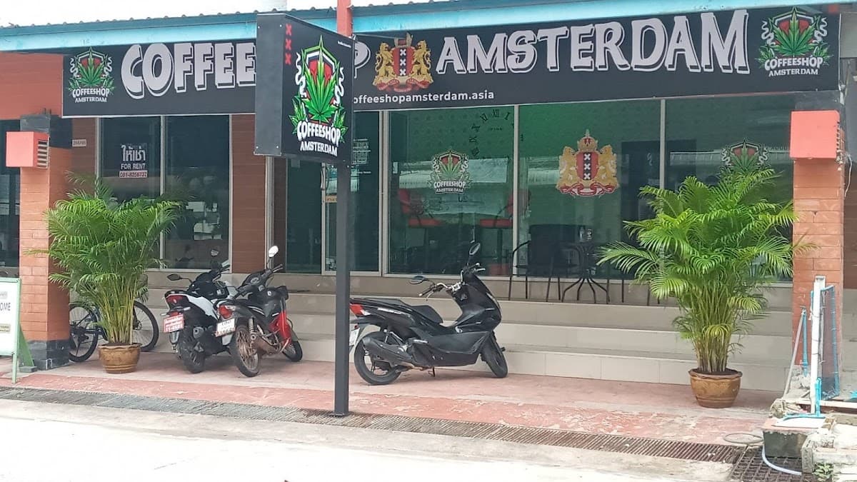 COFFEESHOP AMSTERDAM. NO.1 THE BEST CANNABIS