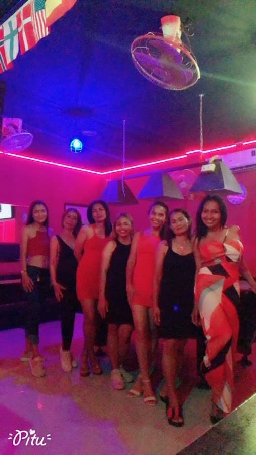 Bunny Bar