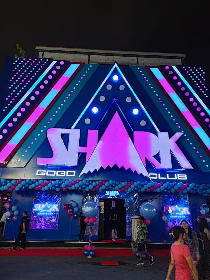 Shark Gogo